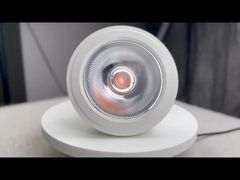 Las bombillas LED PAR30